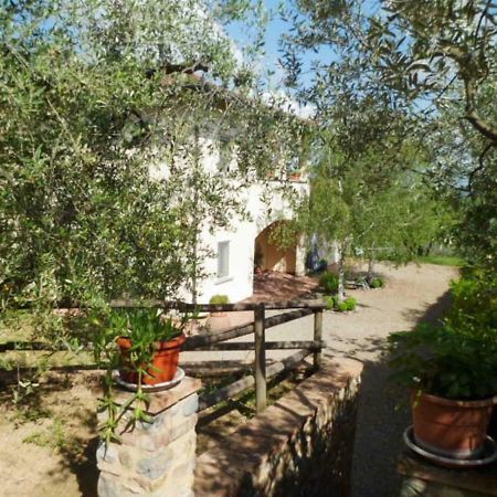 Casa Le Betulle Guest House Montespertoli Luaran gambar
