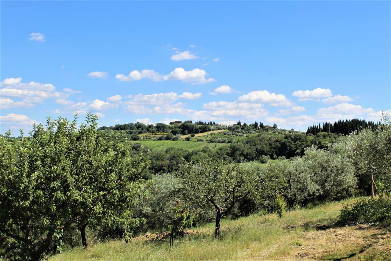Casa Le Betulle Guest House Montespertoli Luaran gambar