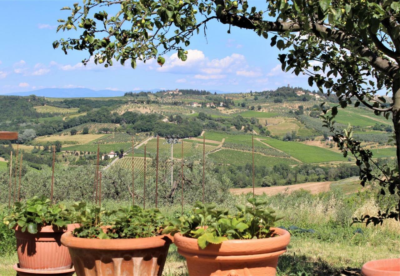 Casa Le Betulle Guest House Montespertoli Luaran gambar